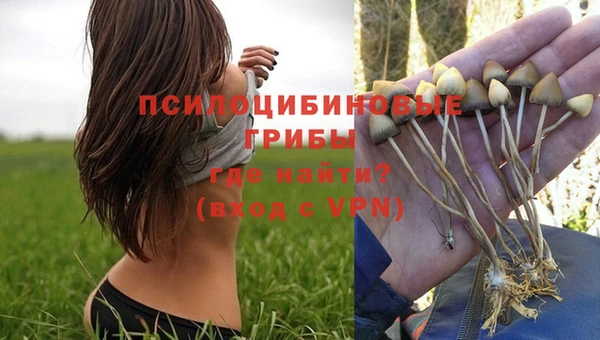 экстази Медногорск