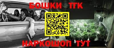 прущие крисы Кандалакша
