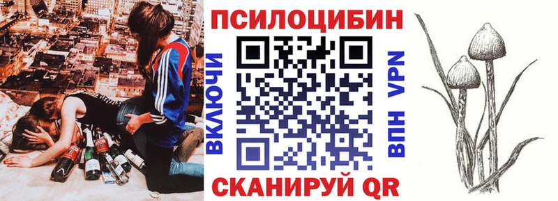 где купить   Ялта  Псилоцибиновые грибы Psilocybine cubensis 
