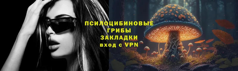 блэк спрут рабочий сайт  Ялта  Псилоцибиновые грибы Magic Shrooms 