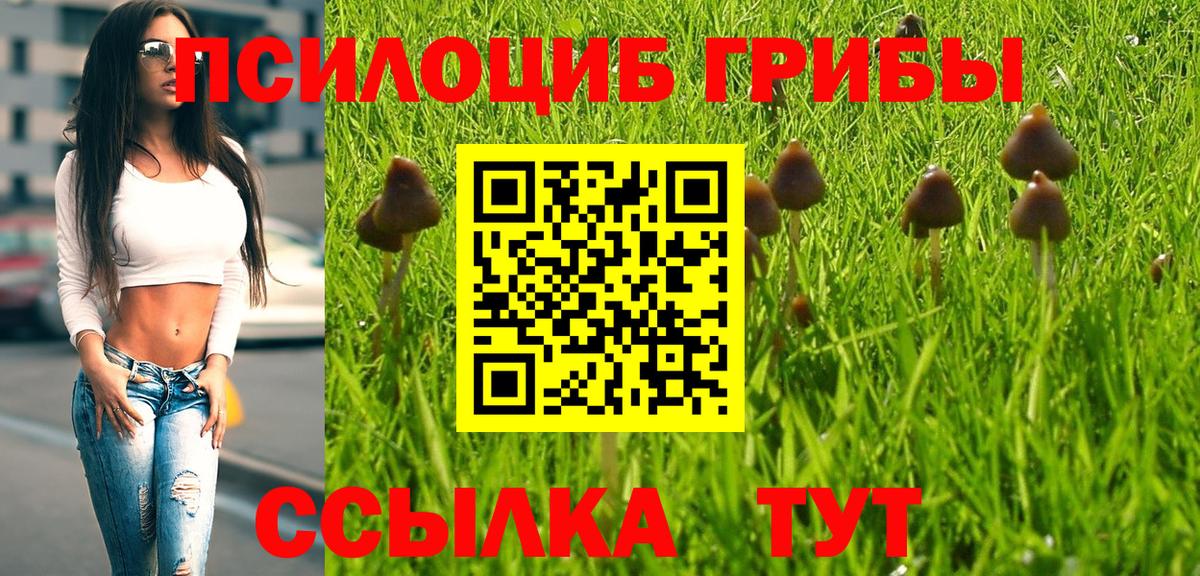 Ялта  Псилоцибиновые грибы Psilocybine cubensis  Вход с VPN 